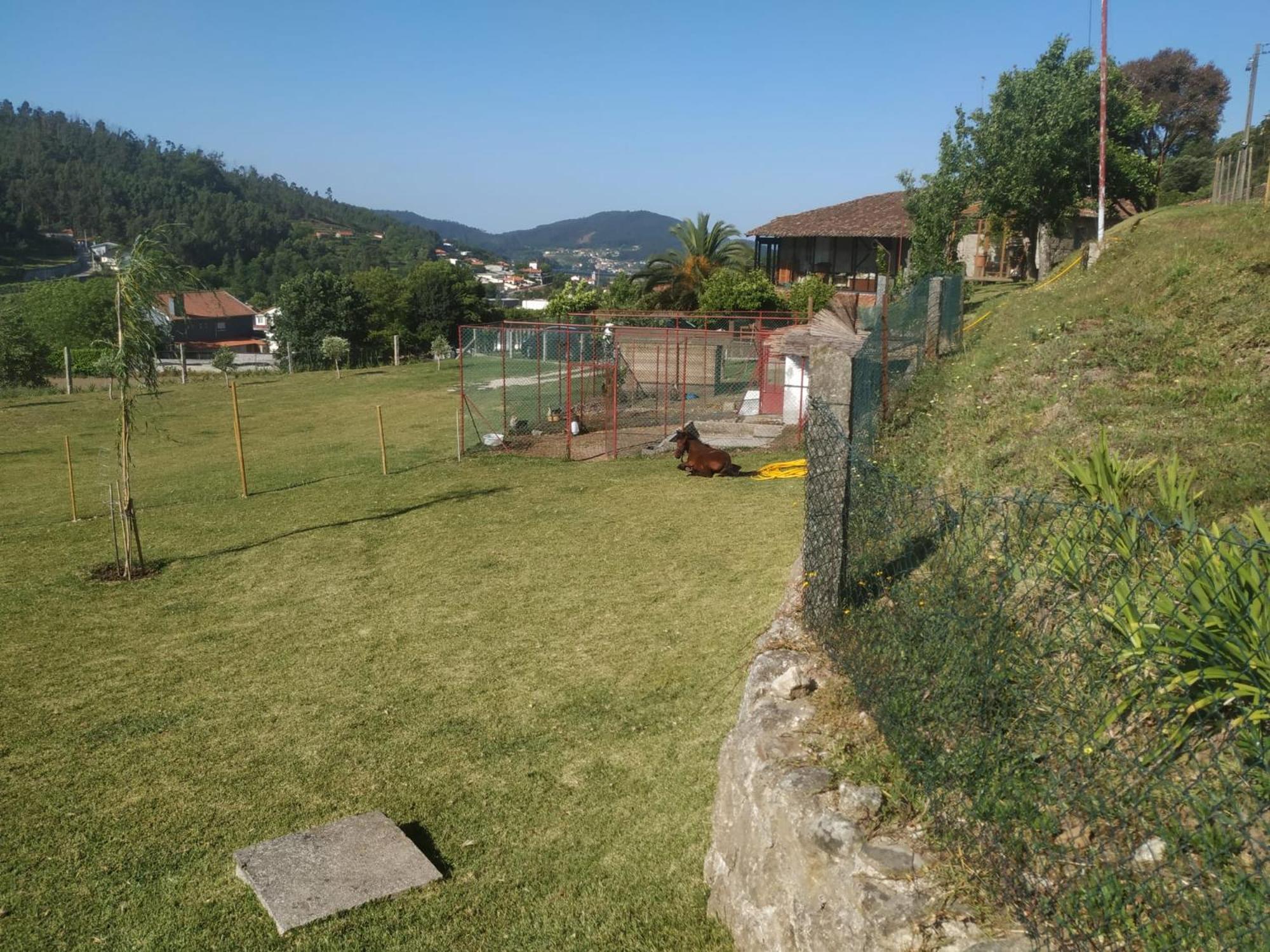 Quinta Dos Campos - Apartamento 2 Braga Buitenkant foto